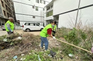 除草防蚊护环境！高州市巾帼志愿者助力平山镇创建卫生镇