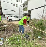 除草防蚊护环境！高州市巾帼志愿者助力平山镇创建卫生镇