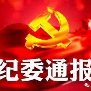 通报：化州公安局原局长吴校严重违纪违法被双开！