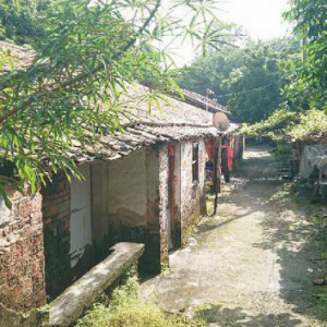 茂南区住房和城乡建设局全力推进羊角煤矿棚户区改造