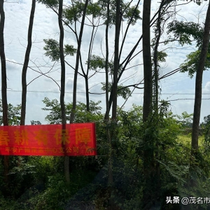 禁种铲毒