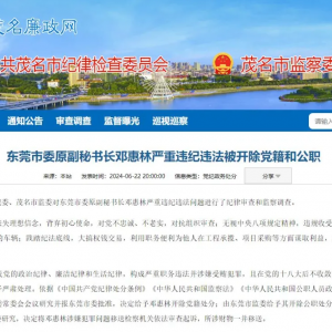 曾任茂名信宜市委书记、后任东莞市委原副秘书长邓惠林被开除党籍、公职！涉嫌犯罪问题移送检察机关..