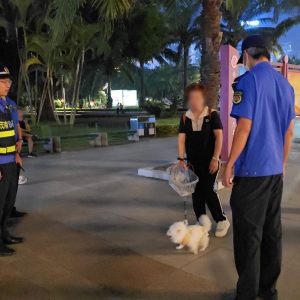 加强夜间执法巡查，维护市容秩序良好