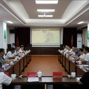 市直党代表第四组围绕"茂名市城市建设发展"开展专题视察调研活动