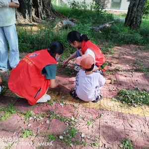 鹤山坡巾帼志愿队开展校园清洁行动：守护开学季，筑牢健康防线