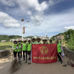 平山镇巾帼志愿队创卫行动：打造洁净垌尾桥，共筑健康乡村路