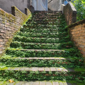 高州市平山巾帼志愿队：创卫行动，守护健康家园