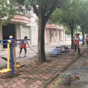 十月金秋庆华诞，志愿同行暖人心——高州市巾帼志愿者协会火星山美晨星志愿队用行动礼赞祖国