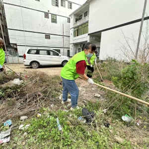 除草防蚊护环境！高州市巾帼志愿者助力平山镇创建卫生镇