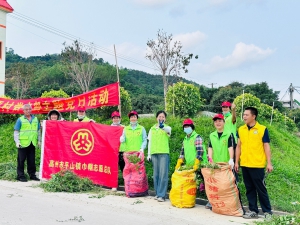 除草护绿美家园 巾帼行动扮靓平山