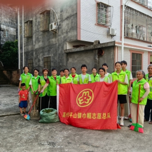 清积水除隐患 创卫护民生｜平山镇巾帼志愿队开展灭蚊创卫活动